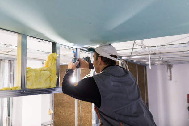 Best Insulation Repair Services  in Pauls Valley, OK