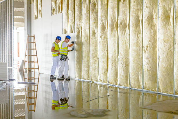 Best Blown-in Insulation  in Pauls Valley, OK